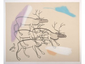 RiddoDuottar Museat  115  